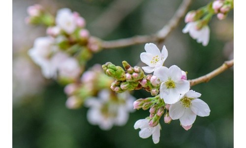 Quelle routine beauté adopter au printemps ?